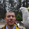 Национальный парк Голубой Данденонг в туре из Мельбурна с частным русским гидом