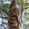 Национальный парк Голубой Данденонг в туре из Мельбурна с частным русским гидом