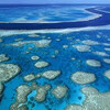 Экскурсия на Большой Барьерный Риф на 1 день из Кернса в Австралии