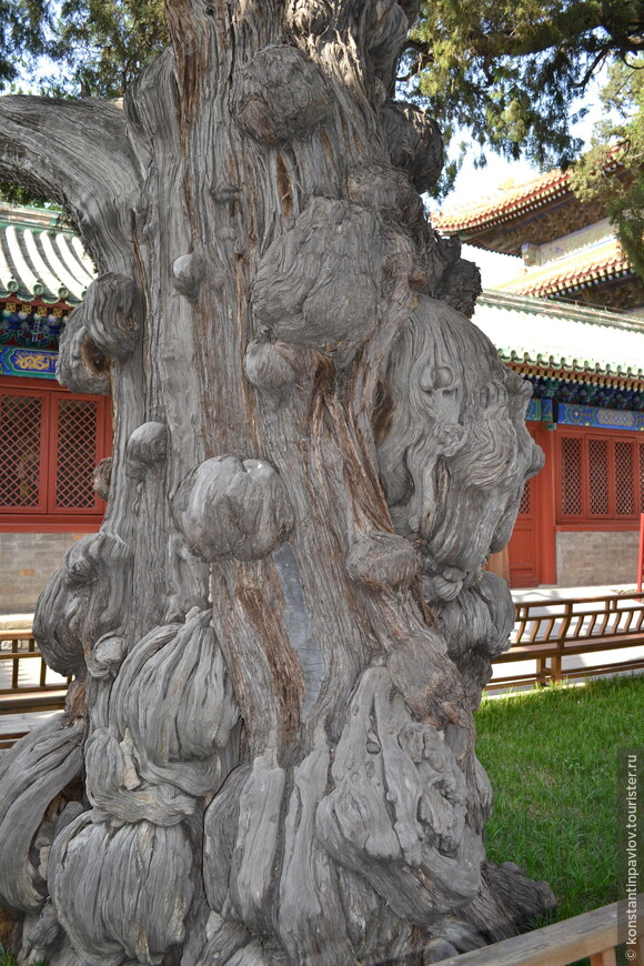  О почтенном храме Конфуция