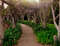 Ботанический сад Хантингтона