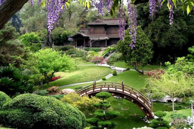 Ботанический сад Хантингтона