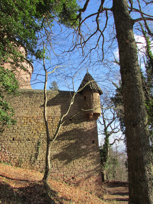 Замок Верхний Кёнигсбург — символ германского могущества
