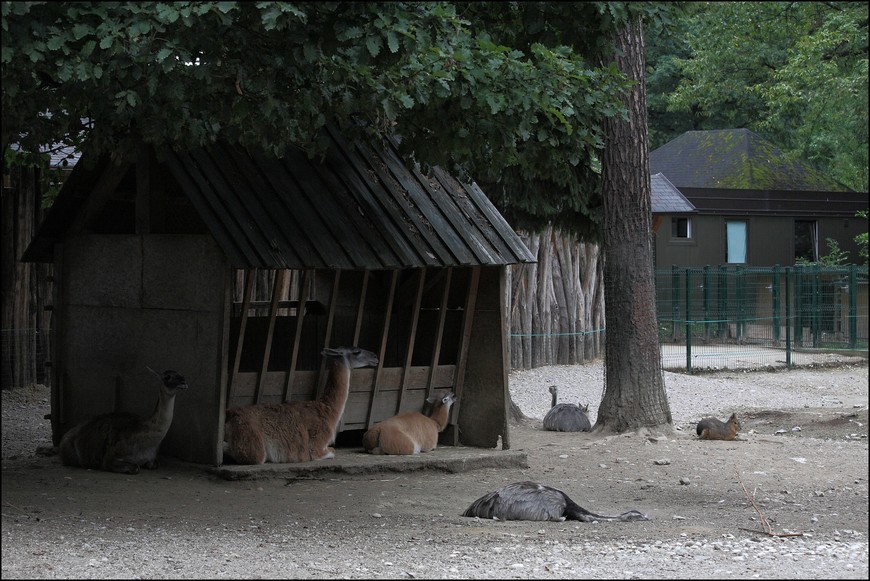Словения. Замки и не только... Часть вторая. Любляна. Зоопарк и парк Тиволи
