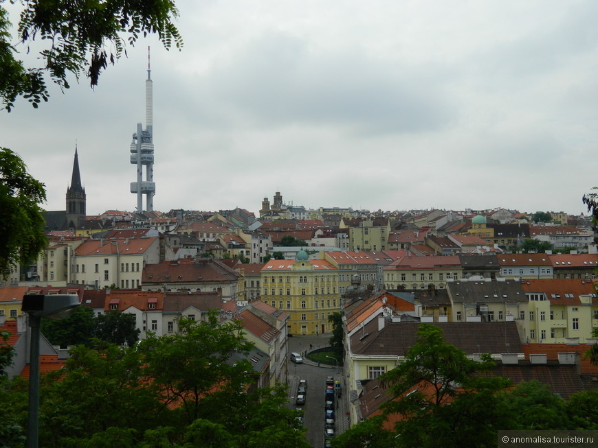 Панорама с холма Витков