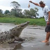 Крокодайл Мэн. Коста Рика