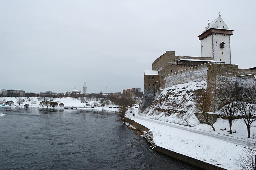 Во всем виновата крышечка