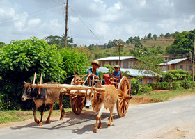 Мьянма апрель-май 2009