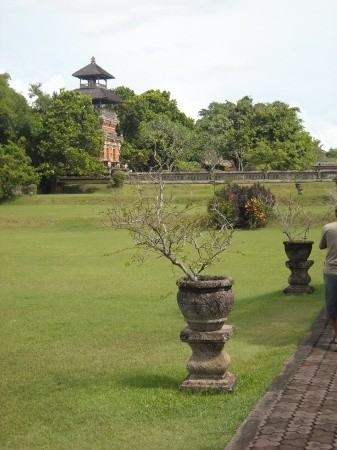 На Бали дикарем