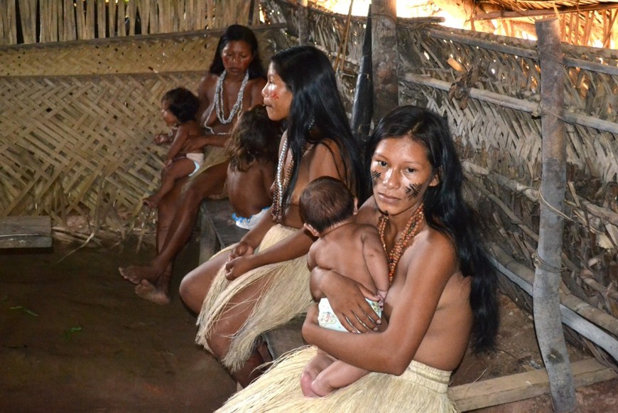 Путешествие по Бразилии. Часть 6. У индейцев Амазонии