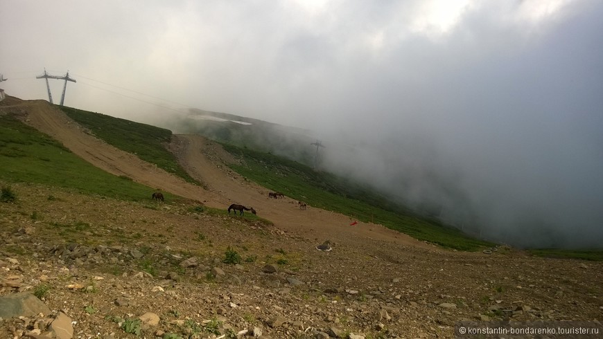 Поездка в Сочи