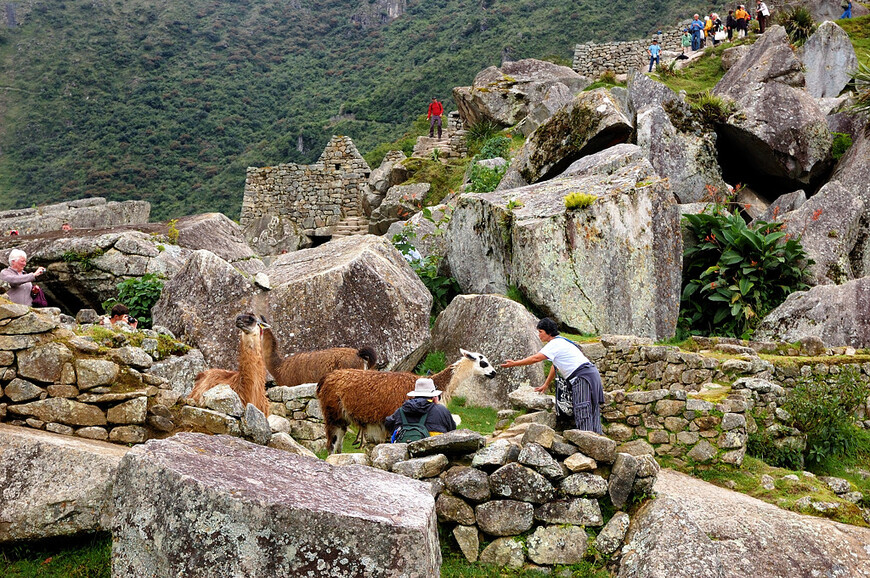 Мачу-Пикчу — секретная столица инков, до которой и сейчас непросто добраться