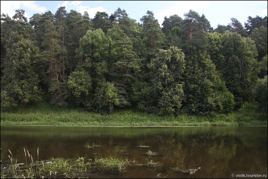 Дубровицы. Коронованная церковь