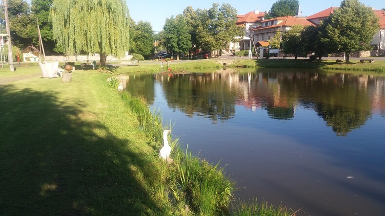 Чешский Водяной.