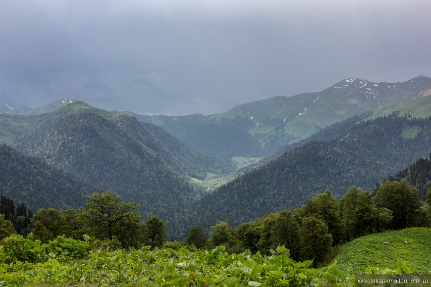 Природная красота Абхазии