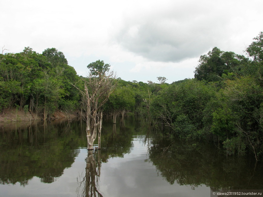 Затерянный мир Амазонки