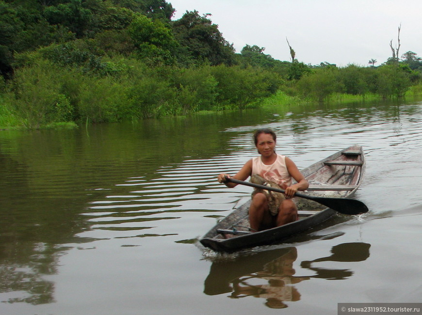 Затерянный мир Амазонки