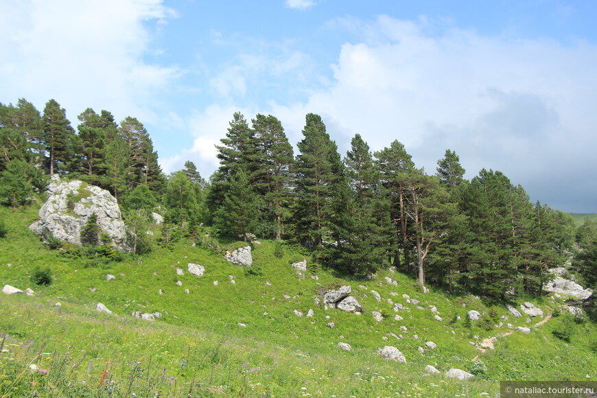 По горам и лугам, через перевалы Кавказа.