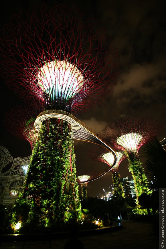 Наше знакомство с Азией: зачем в Сингапуре ингалятор?