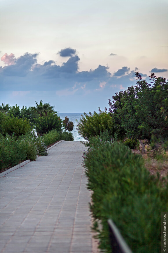 Остров ласковый, нежный, солнечный. Кипр