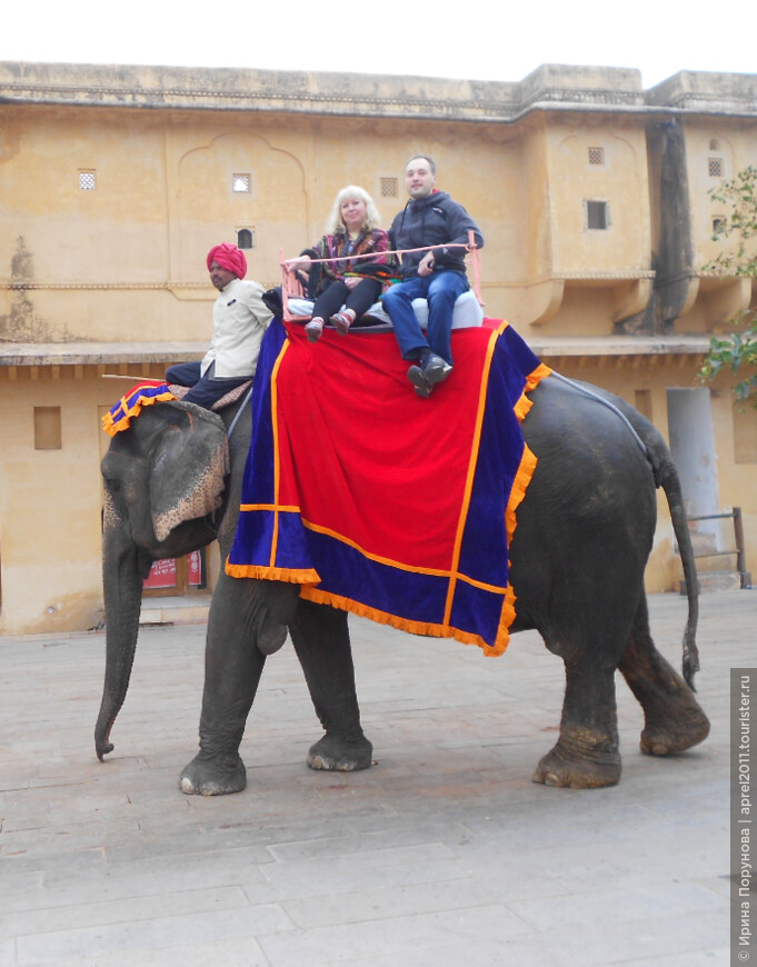 Прогулка на слоне в Джайпуре