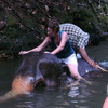 Водоплавающие слоники:)