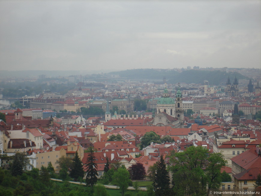 Добри Дэн, Прага!