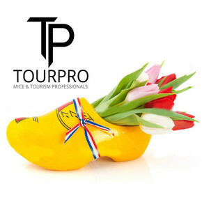 Турист Tourpro (tourpro)