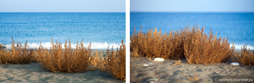 Остров ласковый, нежный, солнечный. Кипр