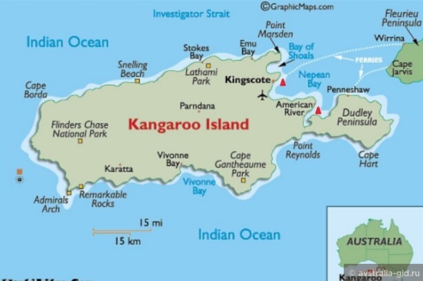 Стоит ли ехать на остров Кенгуру и как туда добраться?