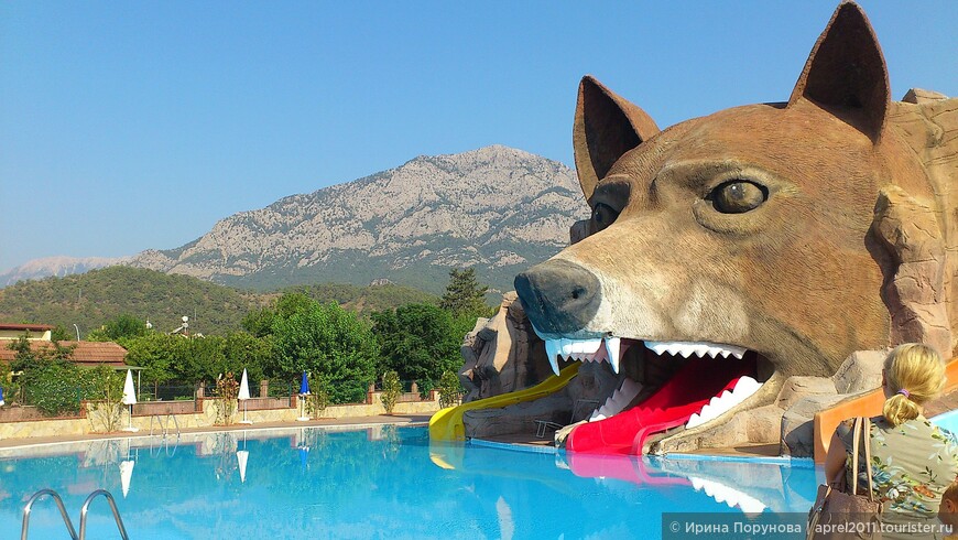 Зона бассейна и аквапарк-волк в отеле Grand Haber в Кемере