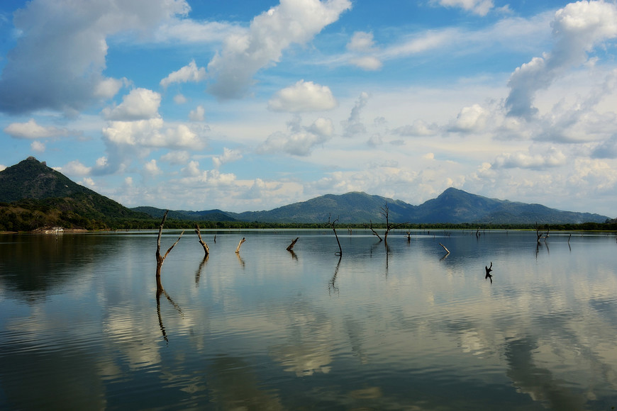 Озеро Кандалама. Дамбулла
