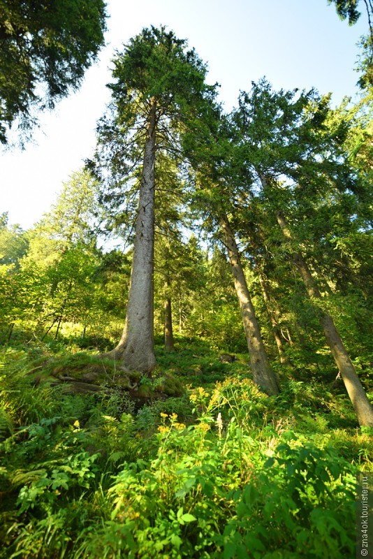 Осенний марафон. День 1,2,3. Озеро Mummelsee, водопад Allerheiligen, вечерний Страсбург