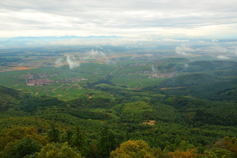 Осенний марафон. День 5 (ч.2). Замок Верхний Кёнигсбург (Haut-Kœnigsbourg / Hohkönigsburg)