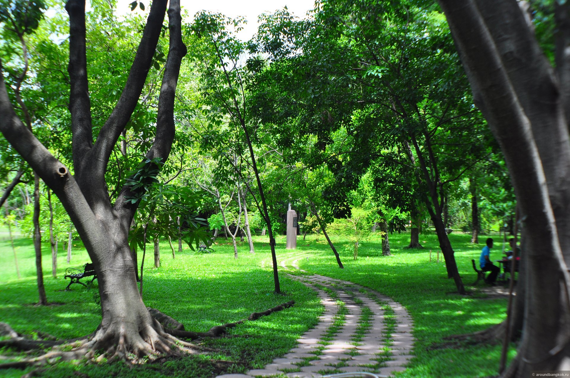 Зеленые зоны московской области. Бангкок парк королевы Сирикит. Зеленая зона. Парк зеленая зона. Она зеленая.