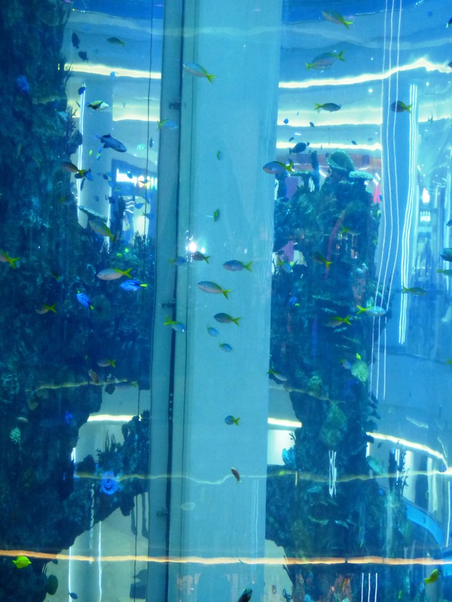 Четырехэтажный аквариум