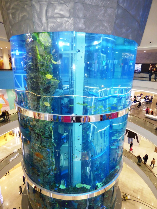 Четырехэтажный аквариум