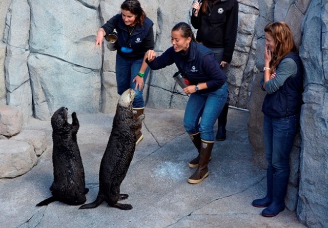 Monterey Bay Aquarium