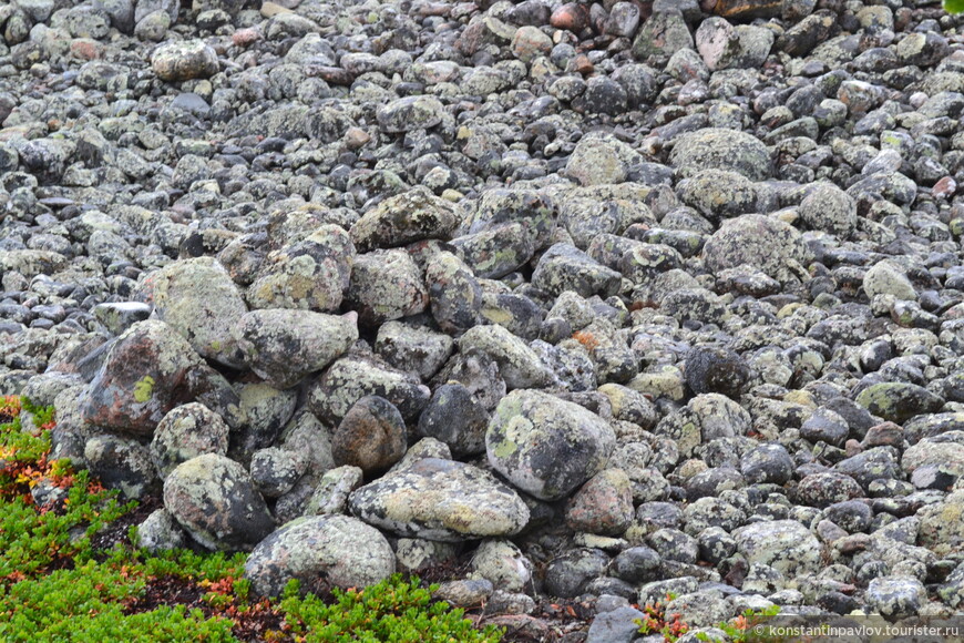 Соловецкий архипелаг. Таинственные каменные лабиринты или немного мистики