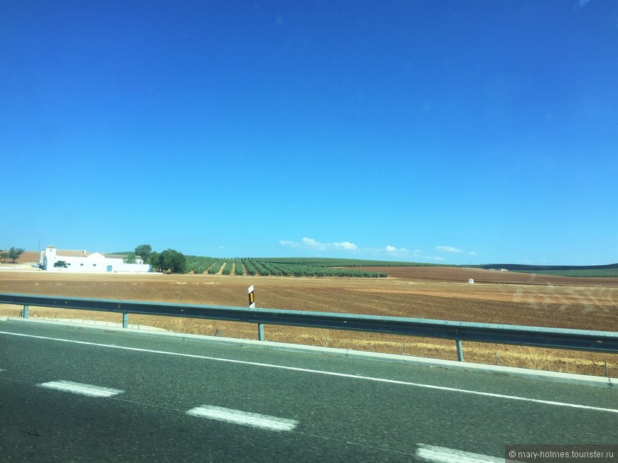 Путешествие в Андалусию и немного Мадрида. Часть 2. Кордоба