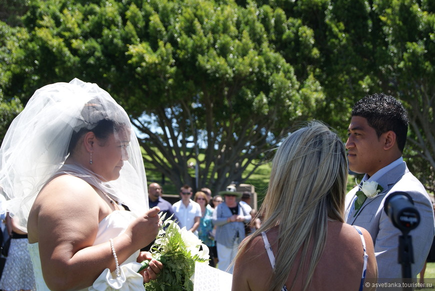 обычная свадьба, часто встречающийся тип невесты