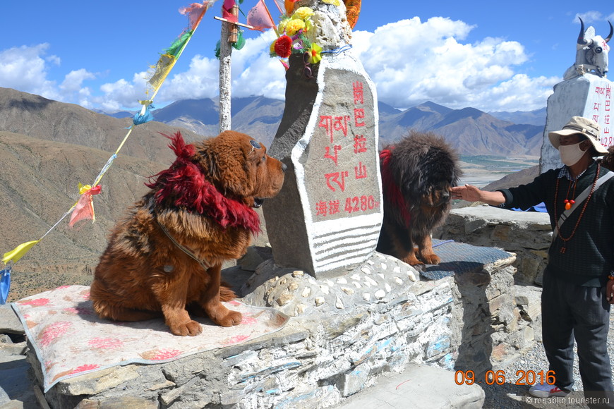 Отчет о поездке в Тибет и коре вокруг горы Кайлас