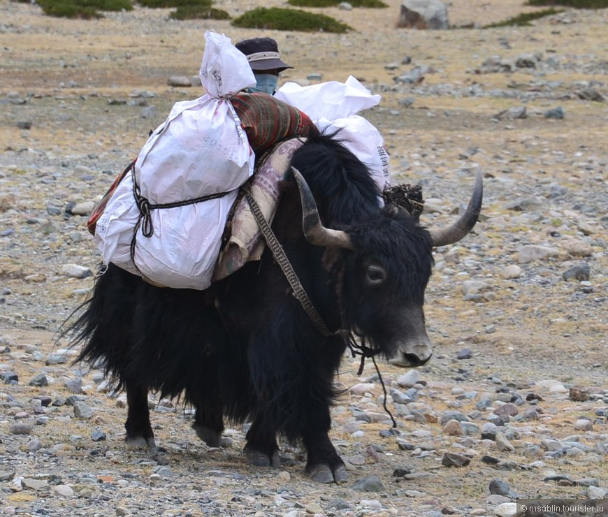 Отчет о поездке в Тибет и коре вокруг горы Кайлас