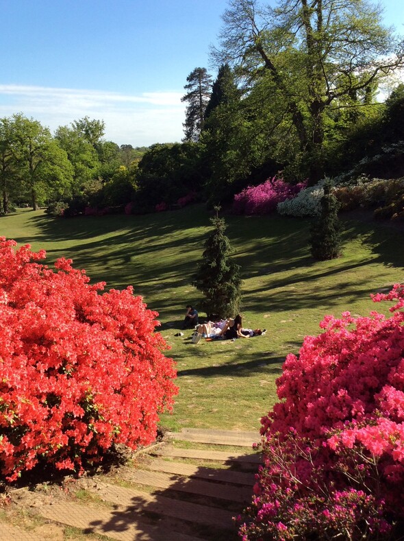 Если желаете приехать во время цветения, выбирайте первые три недели мая. Находятся сады между Лондонской Кольцевой и Виндзором.