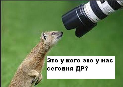 Учителя открытка, открытки с днем рождения мужчины фотографа