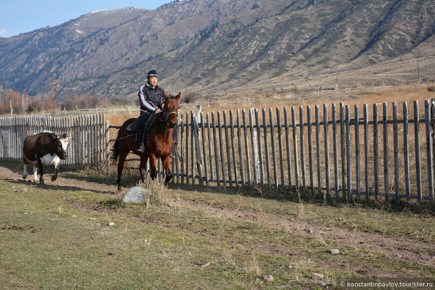 Киргизия. На Иссык-Куле в низкий сезон