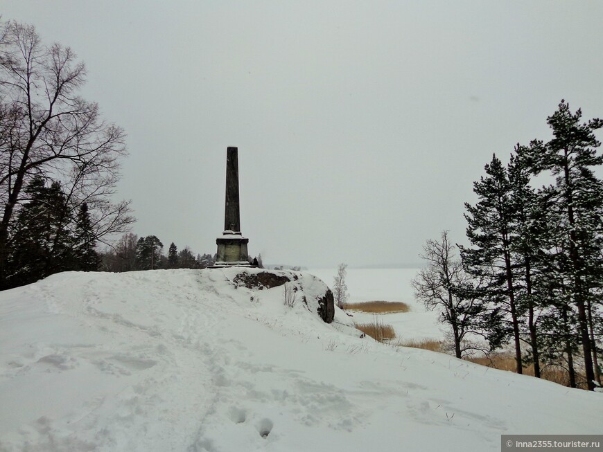 Город, где на камнях растут деревья