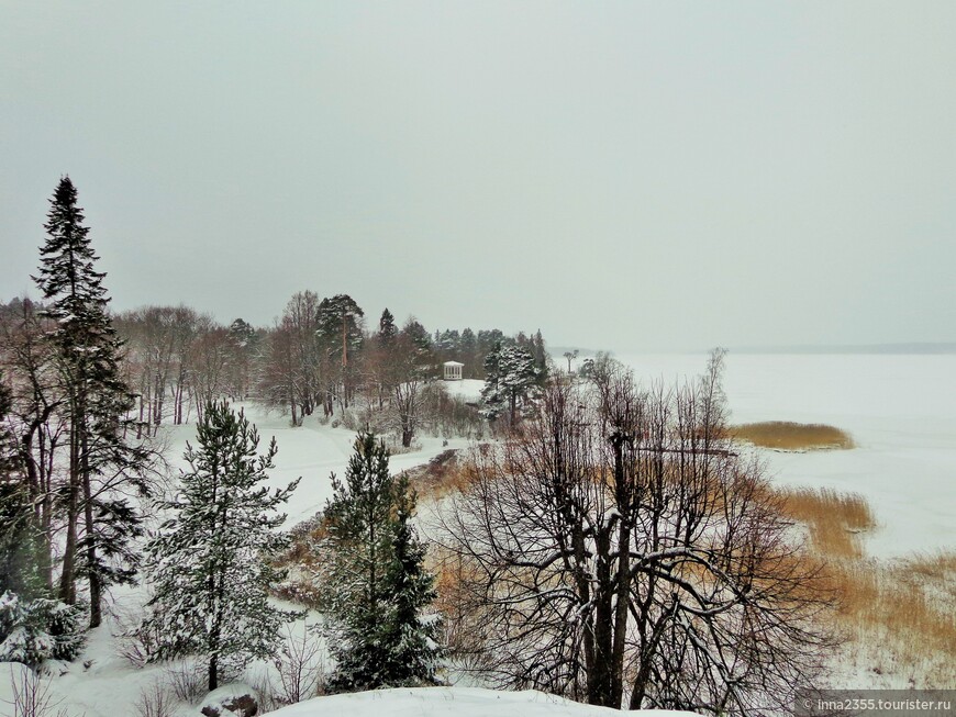 Город, где на камнях растут деревья