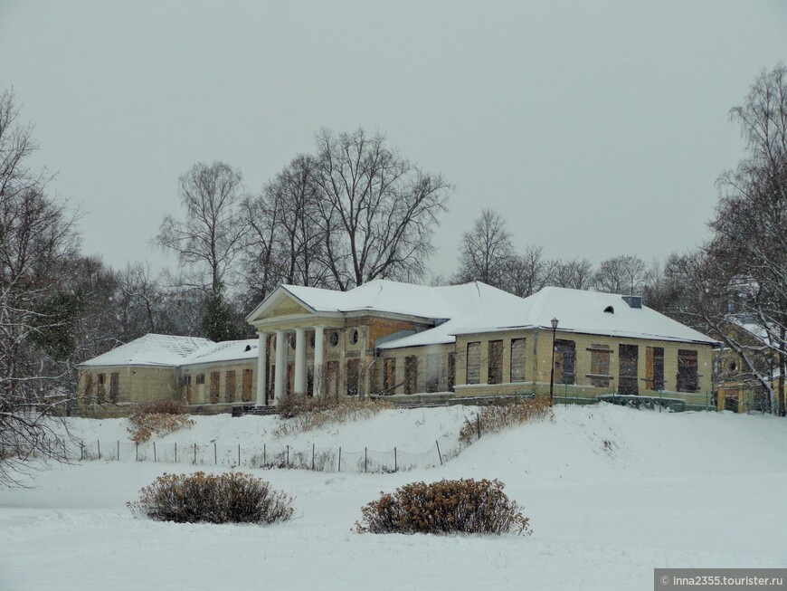 Город, где на камнях растут деревья