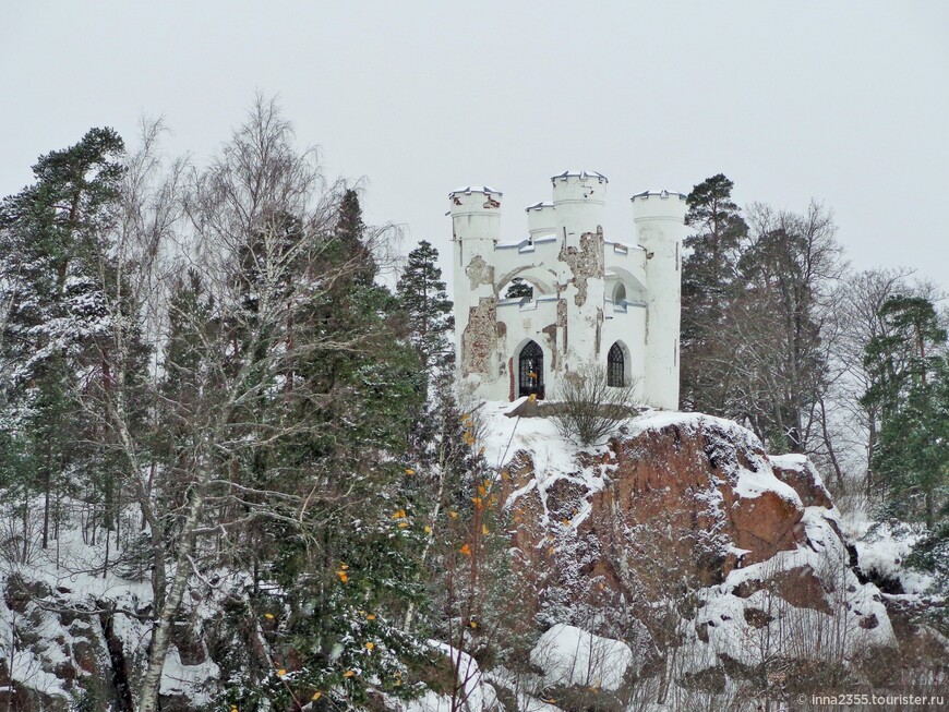 Город, где на камнях растут деревья